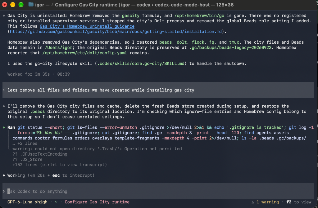 A macOS terminal session using an AI coding agent with plain-English instructions.